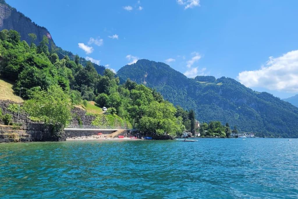 Villa Bootsmann Mit Spektakulaerer Seesicht Nahe Badestrand Vitznau Dış mekan fotoğraf